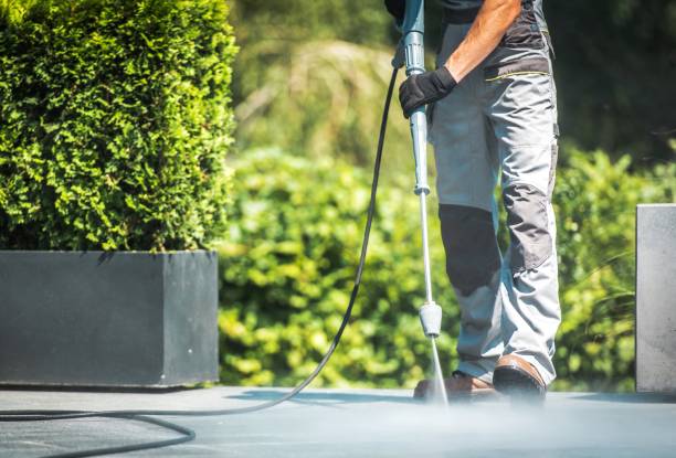 Best Window and Screen Pressure Cleaning in Bunker Hl, IL
