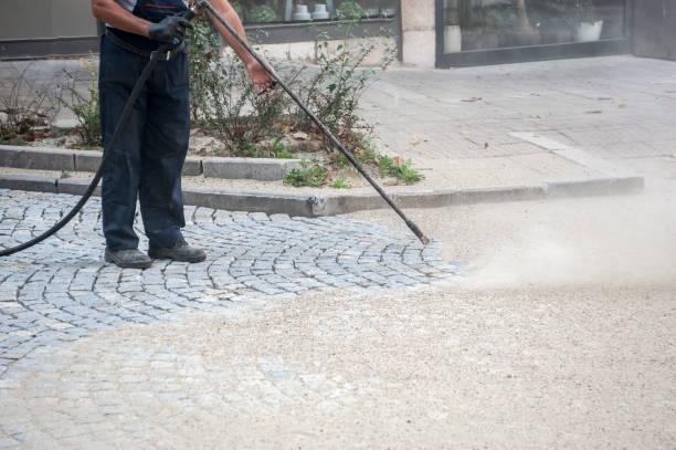 Best Sidewalk and Walkway Pressure Cleaning in Bunker Hl, IL
