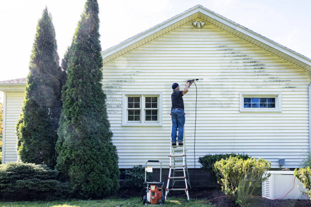 Best Vinyl Siding Pressure Washing in Bunker Hl, IL